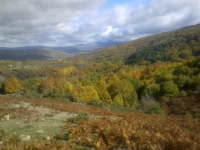 80360a79a1af133d5e5f0327b92cec80