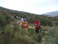 80ce18cf7b75f90aa9b4b7e565b3afef