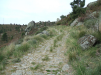 81da7b019ba0ef87dbe9f7f7c6b546de