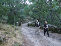 83c1b9099a1d3b7bb19b7e7e843e5c29