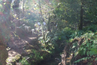 83fe96e3ce1266c9b47e2265854375bb