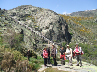 85e81ab641f651d17ba36b25b0e84f58