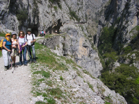 87a40897f9192276ca554af6b1cbb6e6