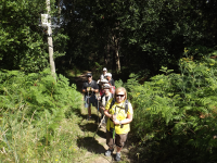 8c84098cef62c61118662fe2f5a2cd79