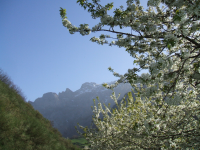 93809b05606f03fb5d5bed4c4c091618