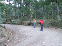 9a5c2924012fc2eaba1a3442d28cef41