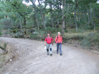 9f3493b229d28a1a3ac60856252deb40