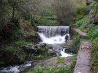 A8d81b006be60ee8cc44c5ebb32a5fba