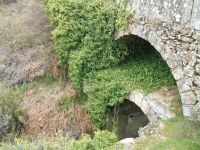 Aa73df37cedcd1d487b0c5f819cc8c02