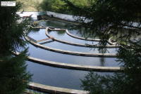 Aac2469c1672f66d23c7e9478bf5aa62