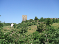 Aef89e8d945cc1e59917c90a0d37c946