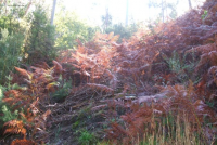 Af41f40dfb19885db35af9fbd5a108df