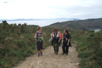 B530a0379e0ba8c273d6c04a018aa8f4