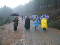 B643b22a55b9d9e1abb046cb67a249b5