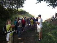 B932e725df4ded6d1dc2b2e6354c09fa