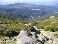 C041c6f74e9cc51f8ea927c509fb6795