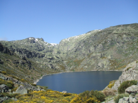 C271f3526cb23adc2a0647f824bc0ffb