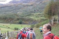 D6cddb8f5257ddfcf51e89a03b26639a