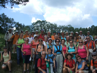 D7231d541de29c455e5fa1ee9007fb62