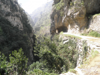 Dc502d6f2824143bcdfe766d4dd07a69