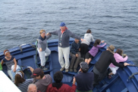 Dd8c28c5a724dc61b175e7214b5a6071