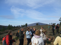 E3313a8d5de6324f8ffa3d80c5c17d4d