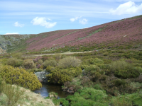 E860fb83052662fd07795377cc567974