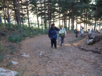 Ea3bdffc4345f8aa67e2dedcafe32441