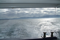 F17ad1e18f273182708a0d2eafc31b7e