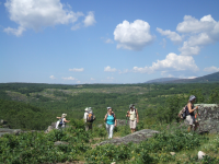 F3357997db51343f2127c3cca8a2ab89