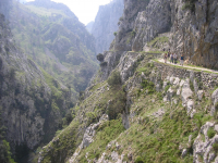 F428452ecdeaabca0f76c49f4915a41e