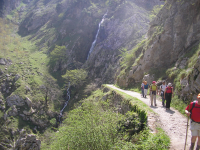 F7f5663b92aa0ec45ff633b3fe157008