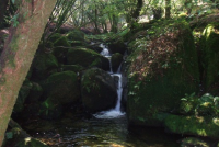 Fa5b5c22390d500a3398184cccd97c3e