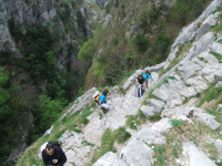 Fbcf5e4fe0192457ebf0fa99c41f8142