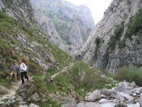 Fdea49851145f0eb475a9d3ced2a7a6c