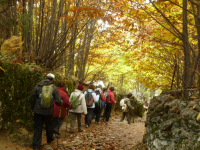 Ff66f41465b5eff74322992c6cb11249