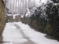 00b70d771643287cc5927f4c237e2098