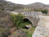 042e91f16ec21706634ad724ecb9d366