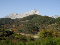 06a6abc0cb6ecf52076da4ca3a408781