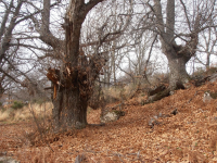 072dedff6b9b23e10c0fc20628fc05bf