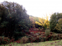 07ea1d351080f439e8873e76cb5a510e