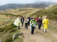 084d38165f30f10943f78570f7f1f72c