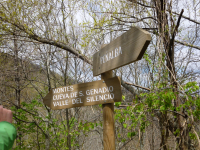 0939a15d4bf0960a9b4e19c8c43a4470