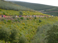 0989f4417d97bd24e529a315d202af07