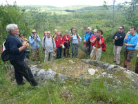 0a094e35422ed4459e794566f12fda73