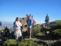 0ab70c09e041ca45ebd391ca9723cf18