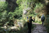 0c044d3adc0dca502686c5e1dc40cc68