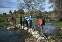 0c6275ded291191de6a2df9269ab176d