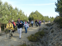 0c68279230c87c294f947da35caf85c5