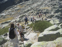 0cf1c83021e3f246e903fde2435411ee